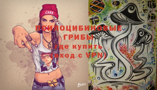 прущая мука Абаза